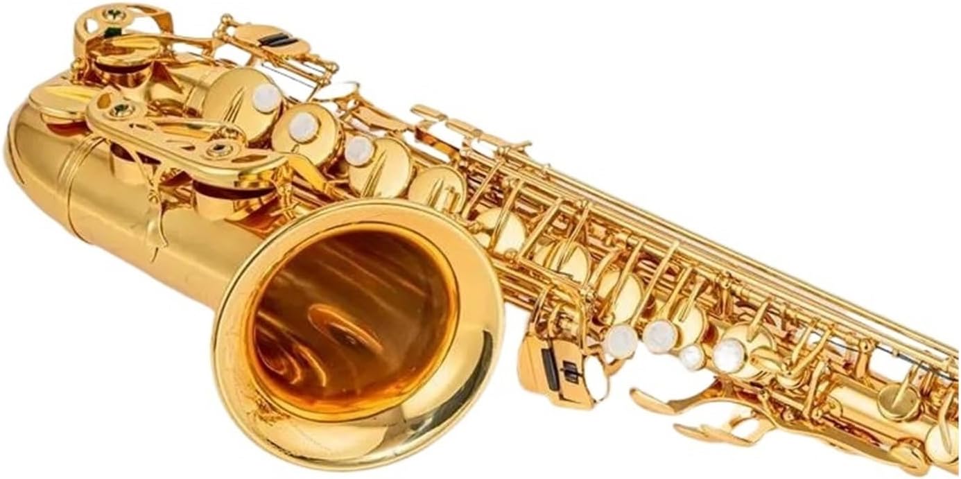 塩水】 アルト Eb 🎖 チューンサックス金管楽器ゴールドラッカー