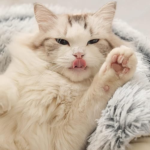 Miniatura 3 de Cama para gatos redonda y esponjosa con capucha para gatos, con funda de felpa no plegada, cama calmante para gatos de interior, camas relajantes