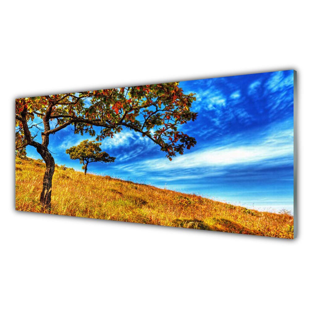 Plastique imprimés tableau mural moderne Tulup 125x50cm prairie arbres