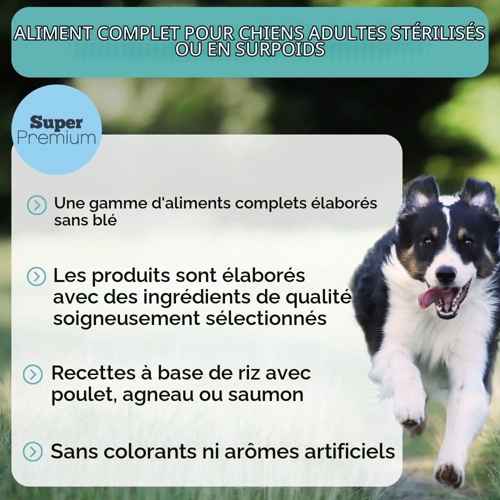 NUTRIVET - Super Premium - Adulte Balance - Croquettes sans Blé - Chien - Riche en Protéines Animales - 15 kg