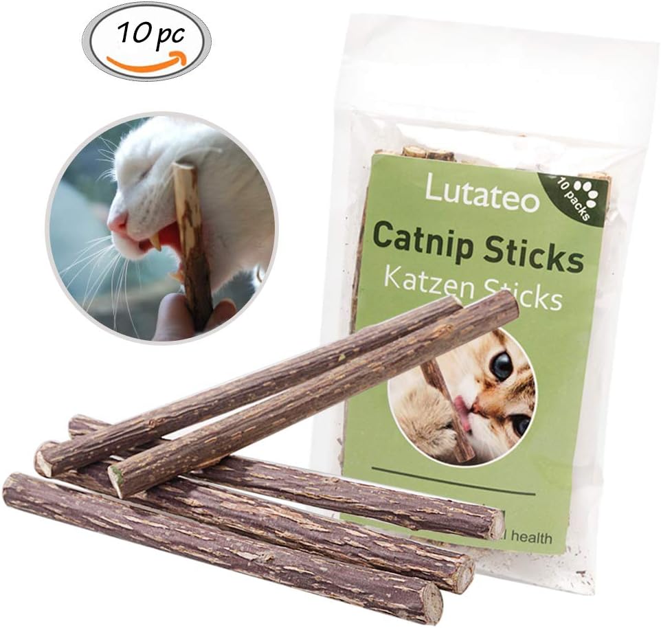 Catnip cat toy, Cat dental chew sticks, Cat toy 10 sticks of pack, Support natural dental care and help with breath odour and tartar