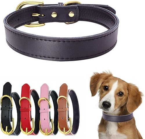 Collar de perro de cuero genuino con soporte para Airtag, suave cuero de vaca real acolchado de dos tonos, hebilla dorada, collares duraderos para