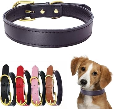 Black Leather Collar for Medium Dogs, Simple and Basic Soft Touch Padded Thick Cow Leather Dog Collar Gold Buckle Male Dog Collars for XS Small Medium Large Pet Boy Dogs, M