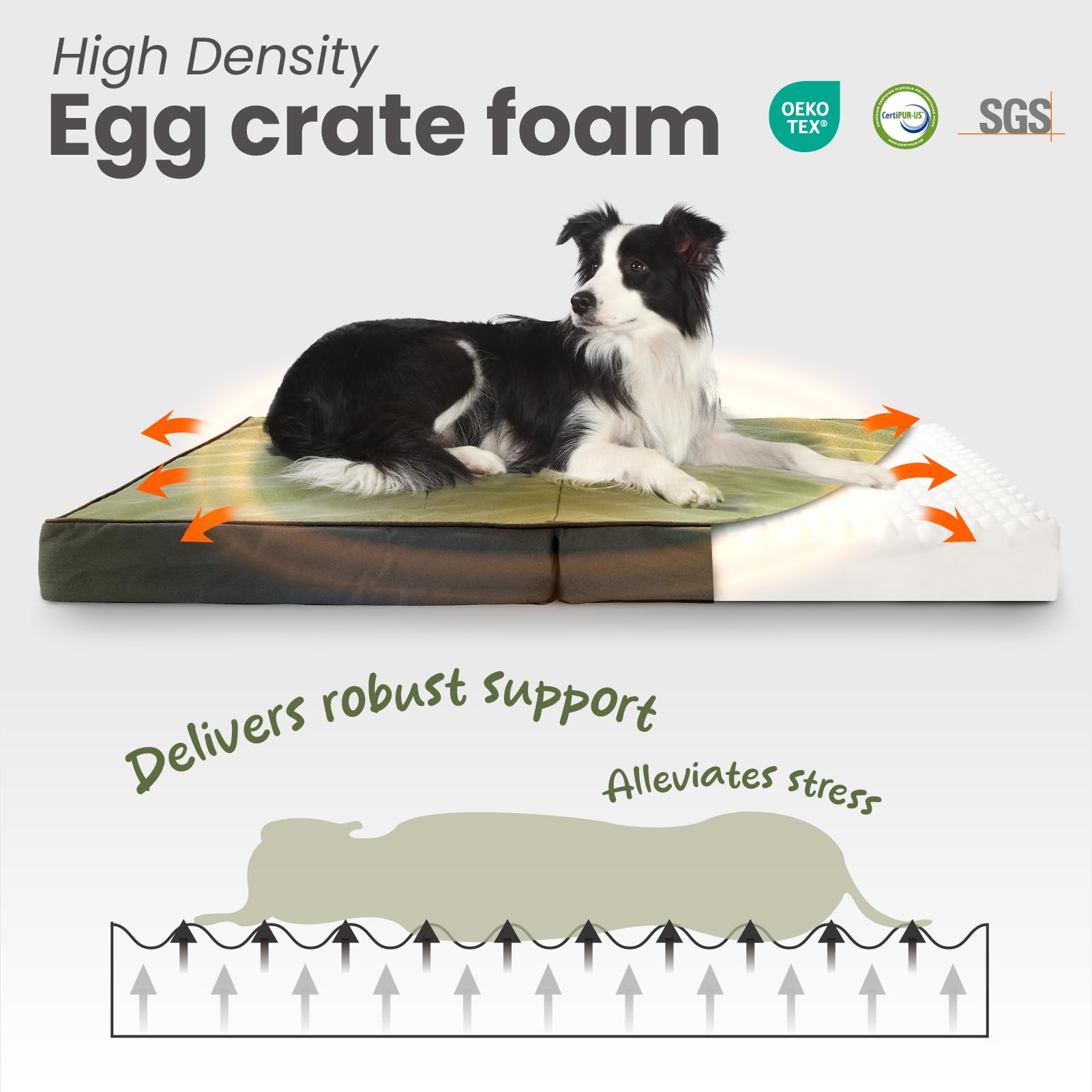 Laifug Cama Plegable Impermeable para Perros Grandes, Cama ortopédica para Perros al Aire Libre con Funda extraíble Lavable, colchón para Mascotas con Asas, Verde Militar (44 x 32 x 3.5 Pulgadas)