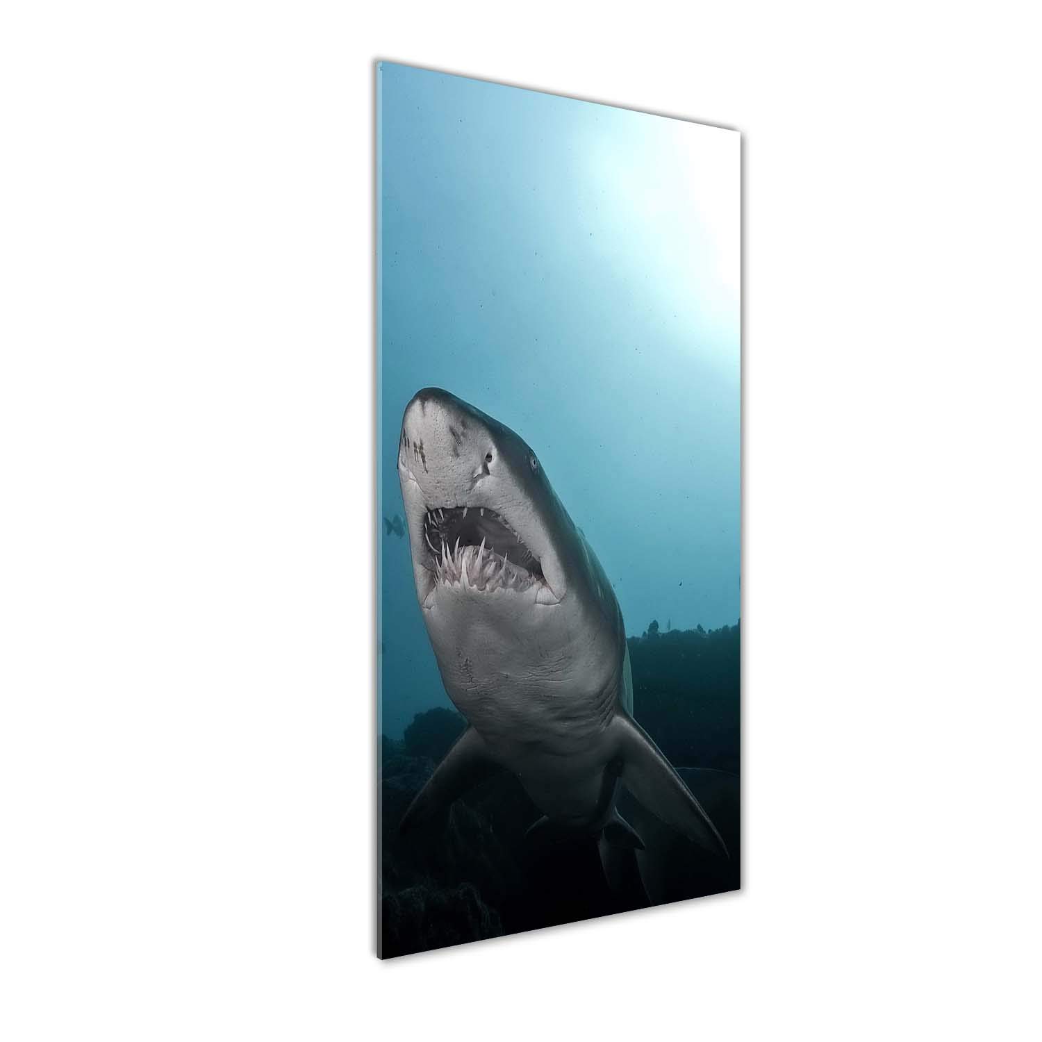 Gros requin bleu tableau plexiglas 50x125cm Tulup déco