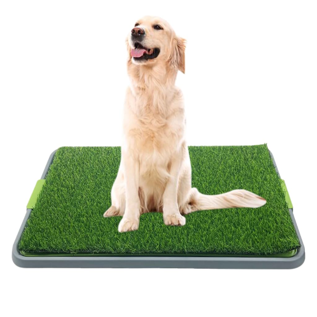 Qpets® Dog Potty Training Pad 16.7x16.5 Inches Puppy Potty Pee Training Pad Realistic Lawn Dog Potty Training Pad Spill-proof Dog Potty Training Pad for Large, Medium Dogs (B0D636W4FJ) Amazon Price History, Amazon Price Tracker