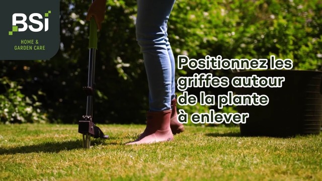 Les eilleurs outils pour désherber anuelleent Les eilleurs outils pour désherber anuelleent