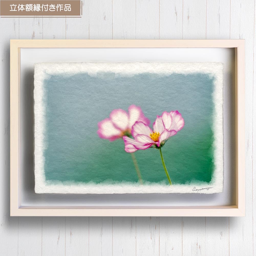 油絵 絵画【赤いコスモス】