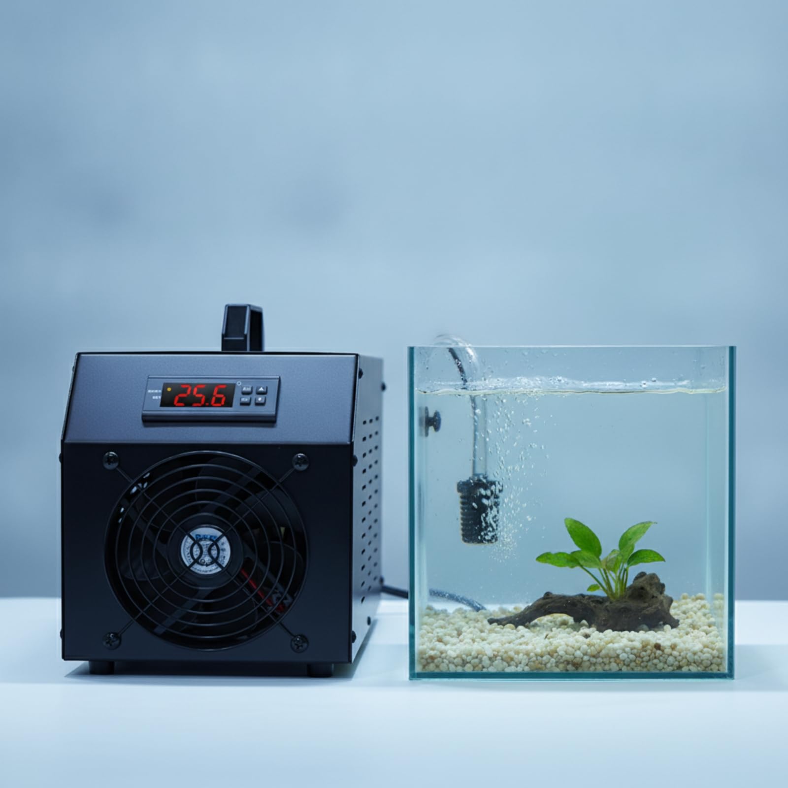 Gralara Refrigeratore con Display Digitale Compatto Silenzioso per Acquariofili, Acquario Marino, Pompa Dell Acqua E Tubo Inclusi