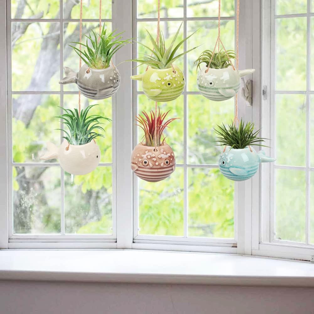 6 Pack Air Plant Holder Unique, Cute Pufferfish Air Plant Hanger Wall Planter, Ceramic Tillandsia Airplants Holders Hanging Wall Decor for Home Office (Pufferfish-Small (3.2 x 2 in))
