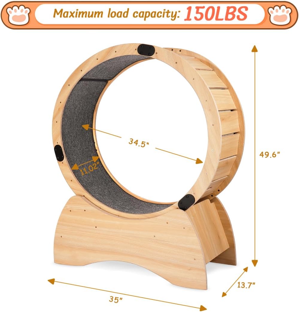 https://m.media-amazon.com/images/I/61b2QUDInFL._AC_SL1100_.jpg
