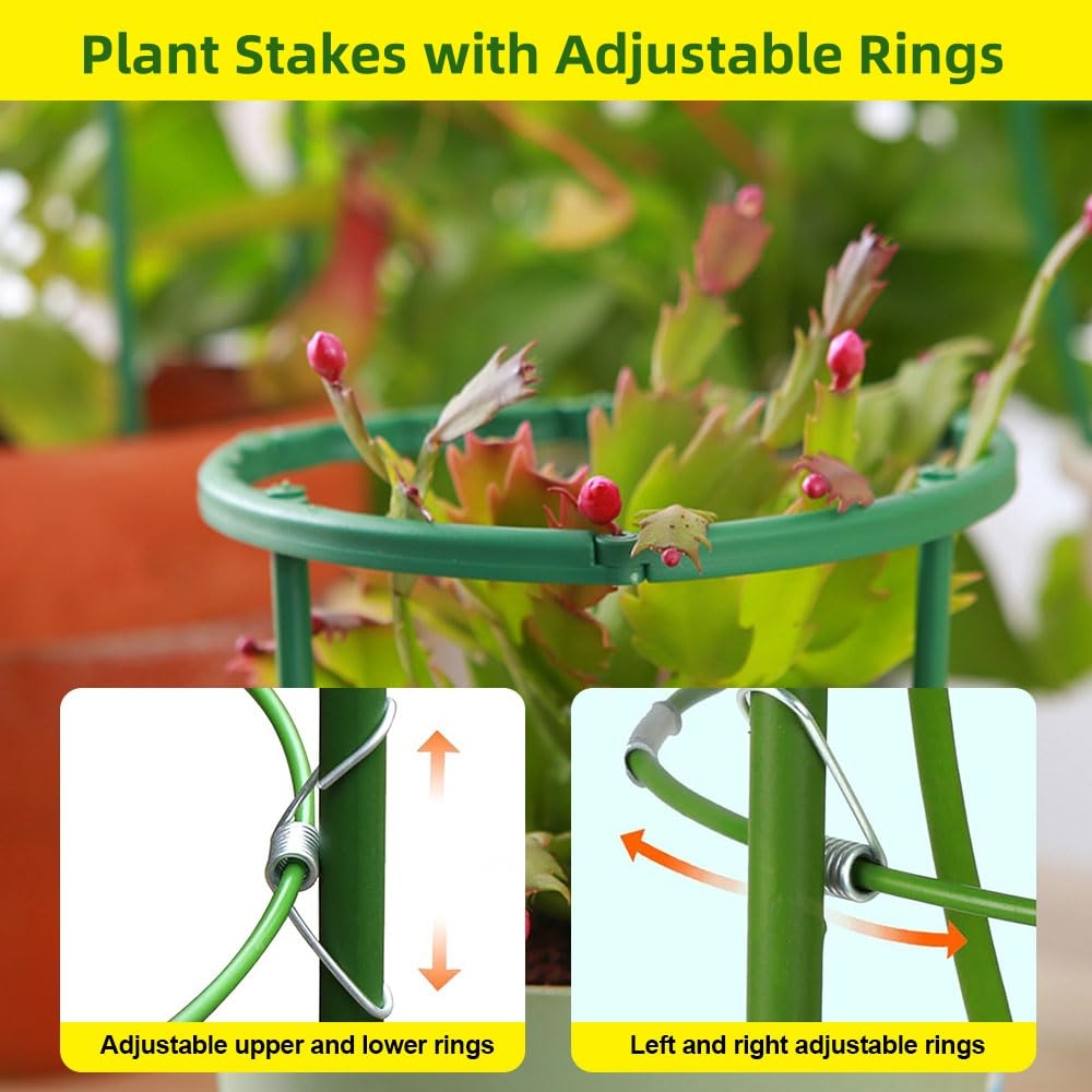 Lot De 3 Cages à Tomates Carrées – Grands Piquets De Treillis Et Structures De Support De