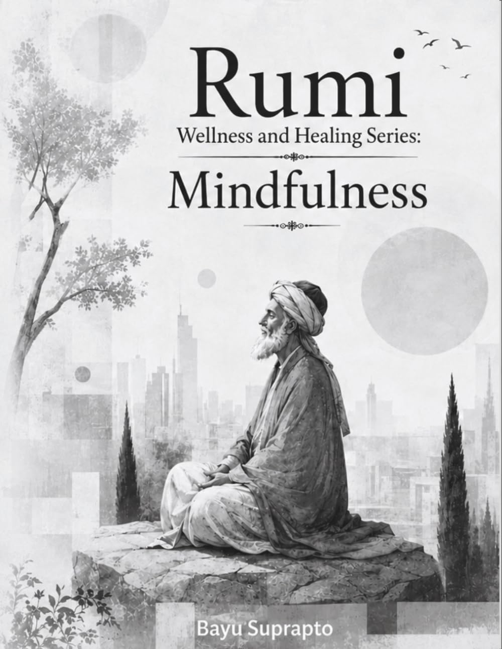 Rumi Wellness and Healing Series: Mindfulness: A Graphic Novel Journey Of The Heart