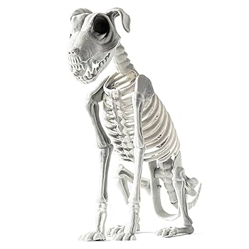 新品　ジェリーキャット　スケルトン　骸骨　スケルトンドッグ　dog 犬 Jellycat Skeledog Dan ジェリーキャット スケルトンダン 骸骨