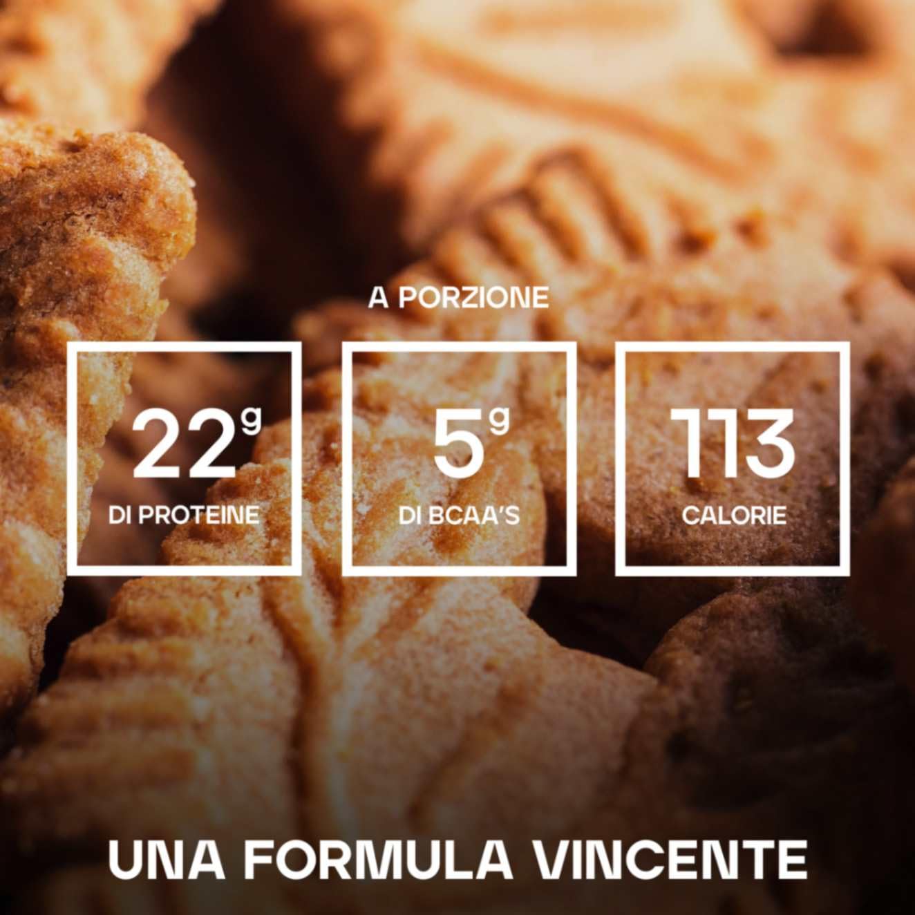 Bulk Pure Whey Proteine in Polvere | Speculoos | 22g Proteine e 5g BCAA per dose | Basso contenuto di zuccheri | Supporta la crescita e il recupero muscolare | Facile da miscelare | 1kg