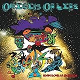 Adan Bonilla Morales