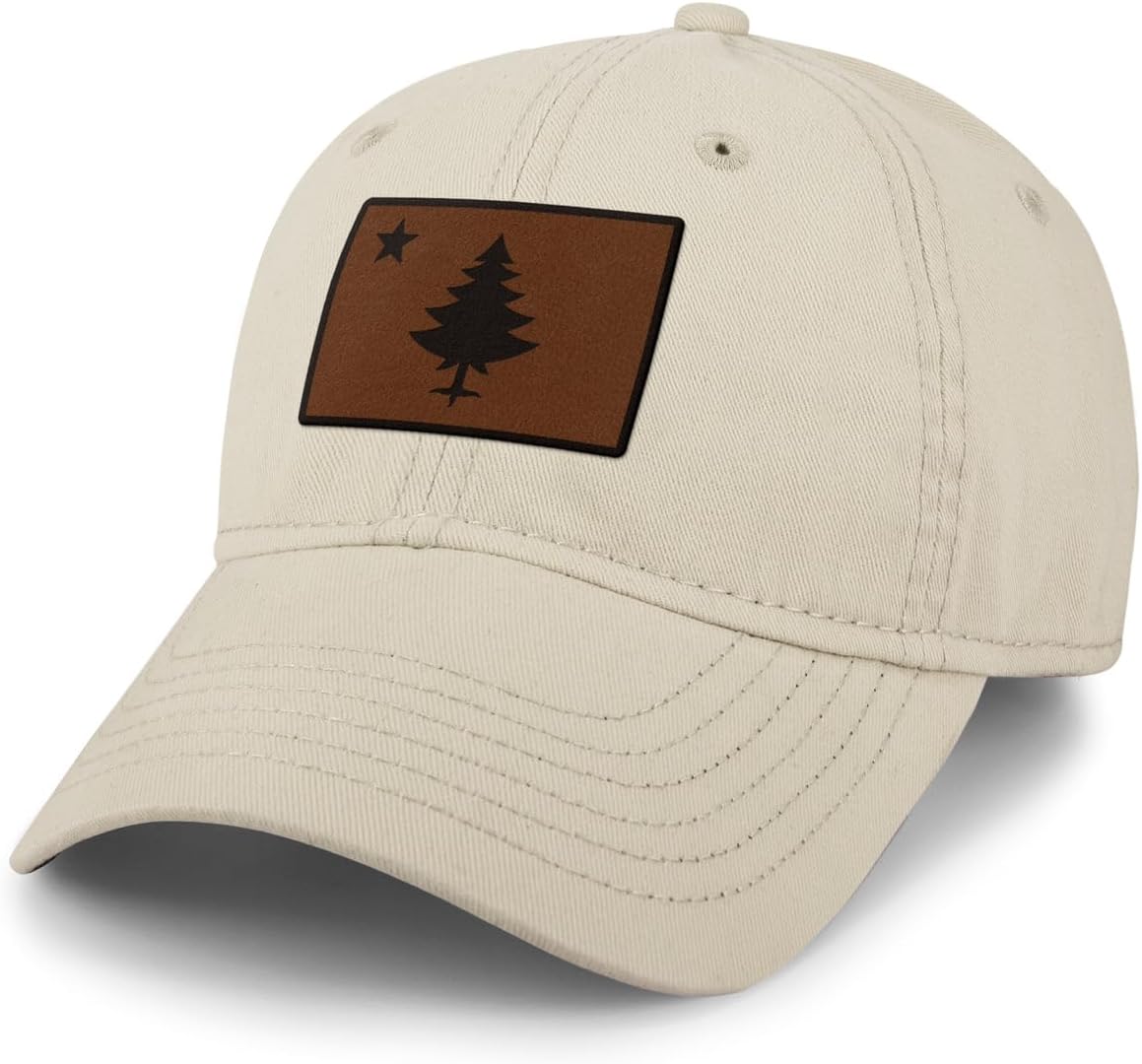 Vintage Maine Flag Leather Patch Dad Hat
