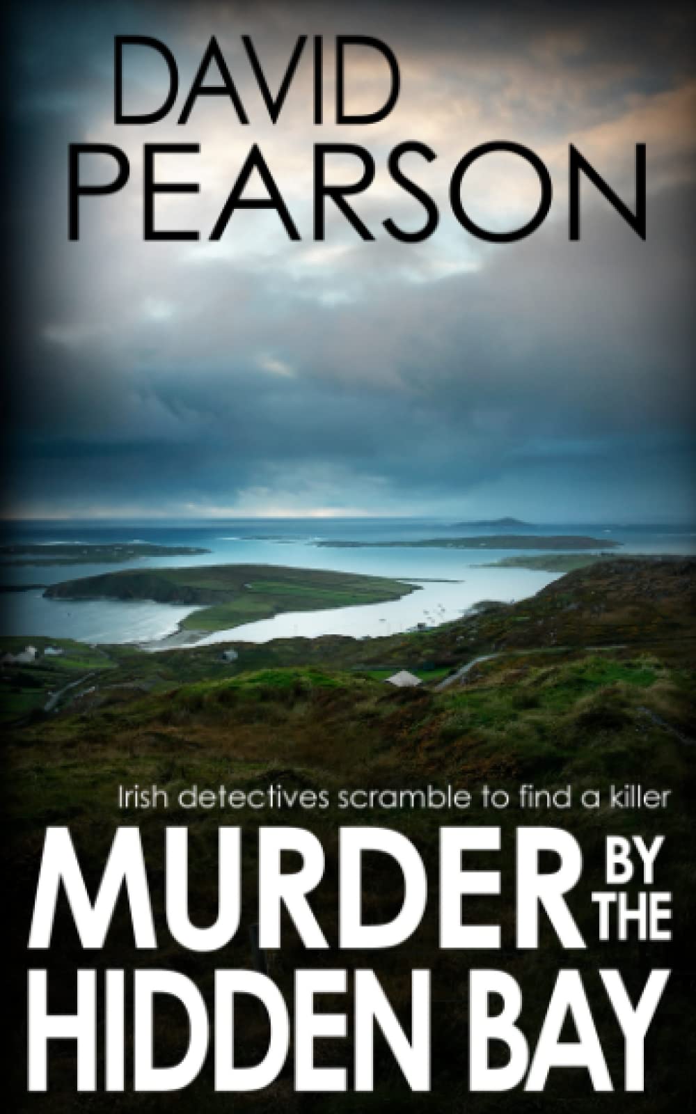 MURDER BY THE HIDDEN BAY: Irish detectives scramble to find a killer (The Galway Homicides)