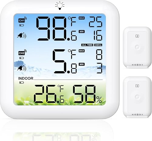 Freezer Thermometer with Alarm