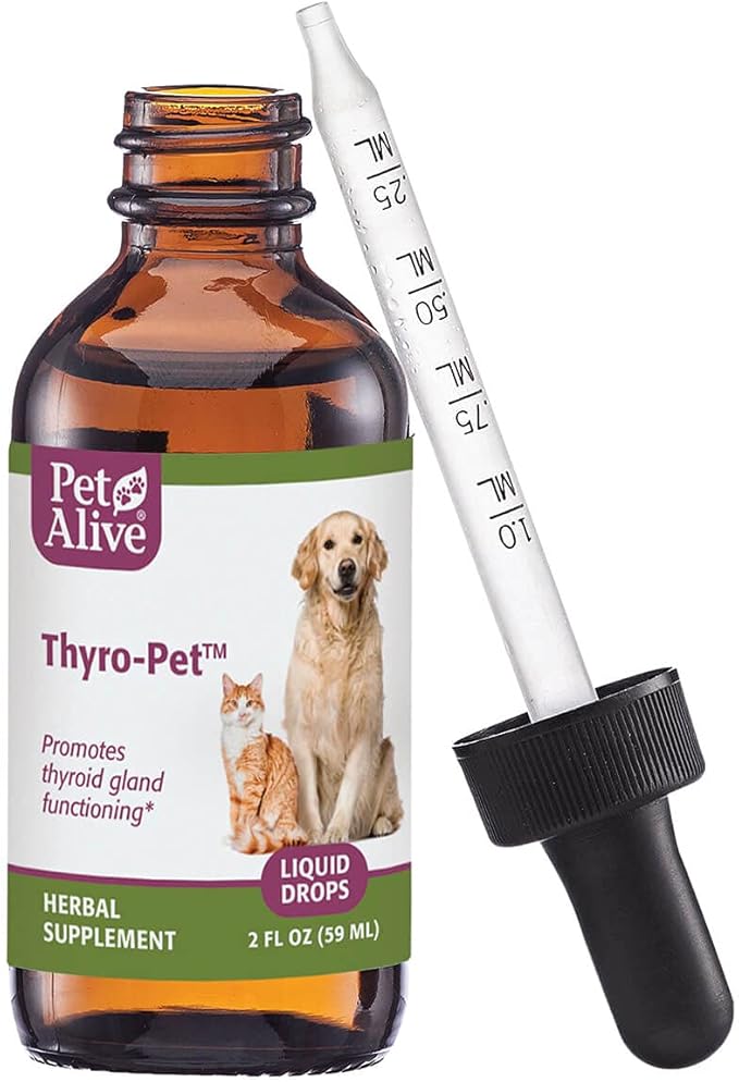 dog hyperthyroidism natural treatment