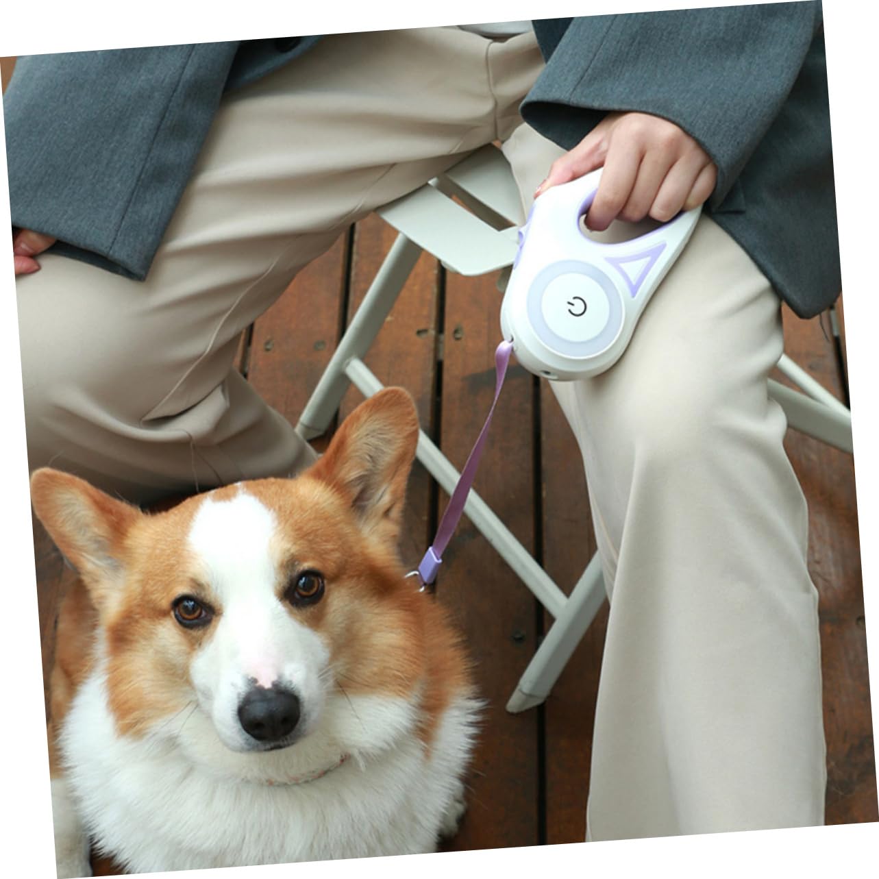 Levemolo Correa Automática Retráctil para Perros Metros De Longitud Diseño Reflectante Resistente Desgarros para Paseos y Entrenamiento De Mascotas