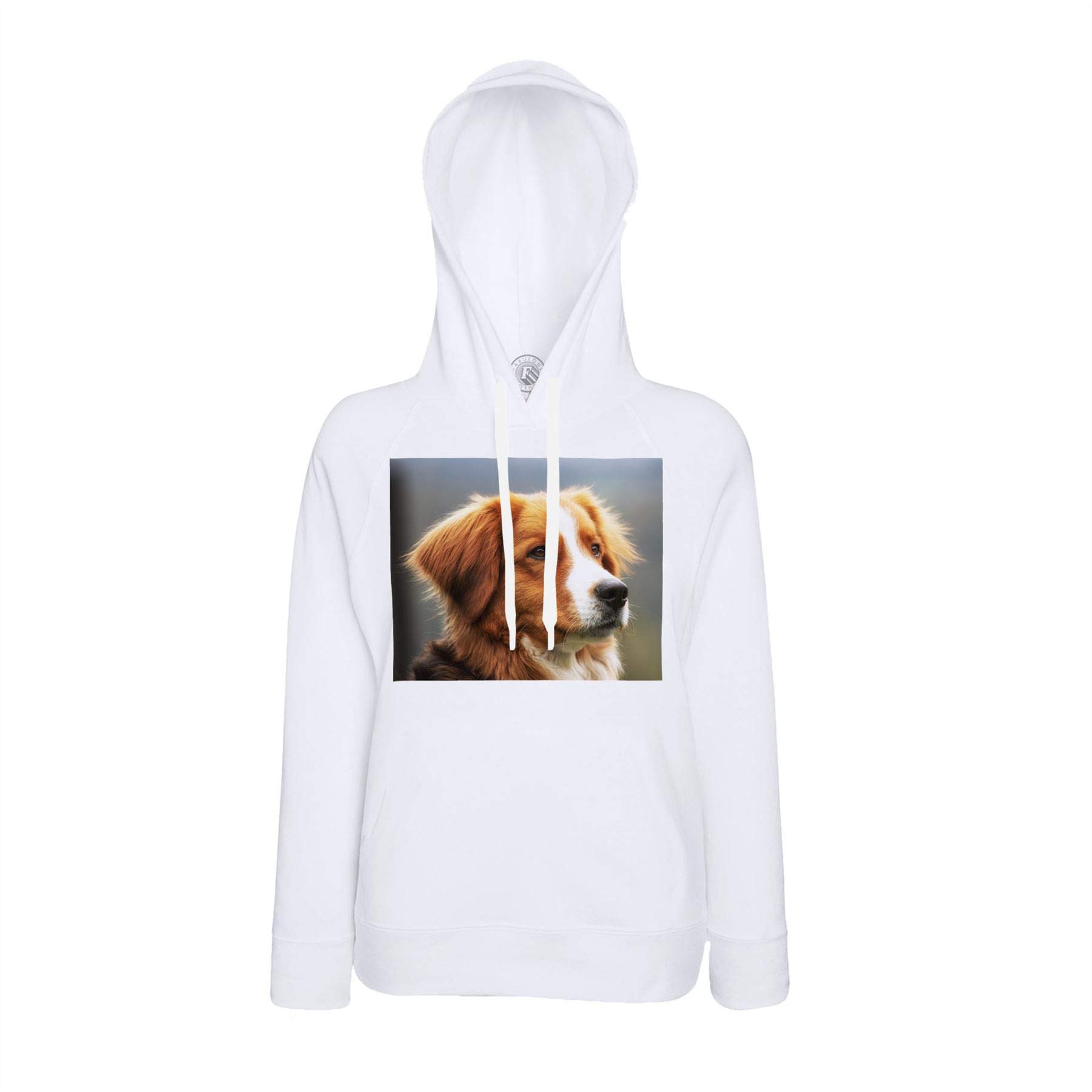 Sweat à capuche beau chien marron et blanc vêtement extérieur mignon imprimé