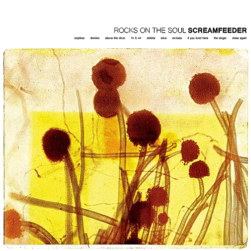 Episode 7 - Rocks on the Soul