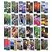 Favorite Bible Verses - Assorted Pack of 50