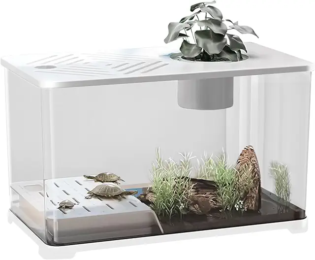Acuario Grande Kit Completo de Escritorio con Zona para Tortugas y Plantas Acuáticas
