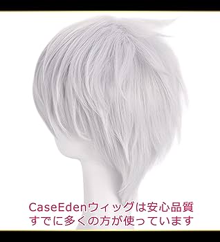 フォンテーヌ シルバーショートウィッグ 専用ボックス付き フォンテーヌ シルバーショートウィッグ 専用ボックス付き