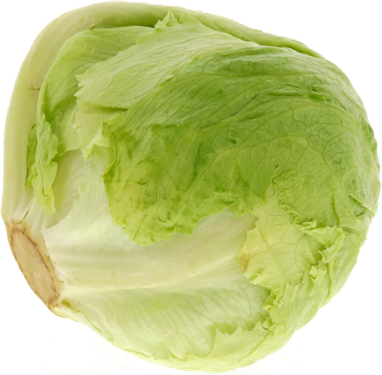 Lulu Iceberg Lettuce 500 g Approx.