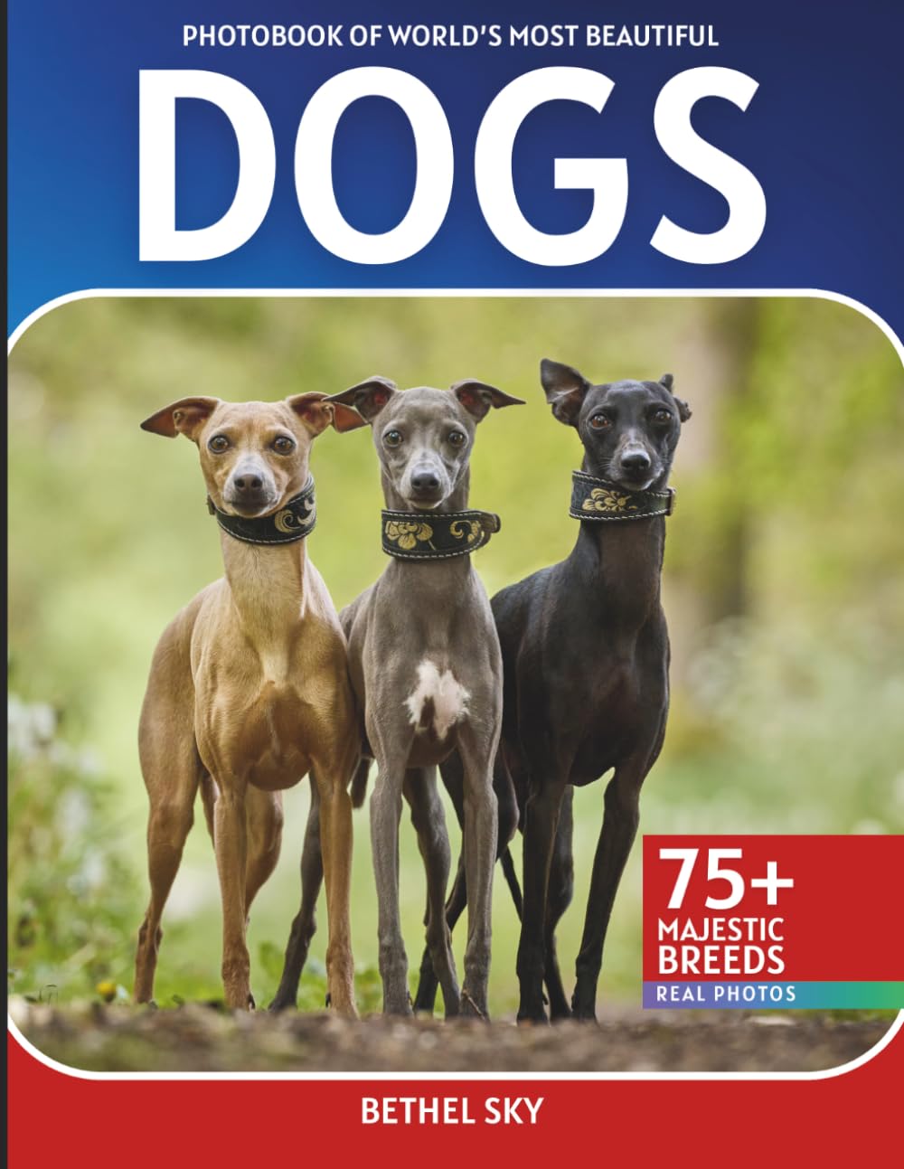Dogs Photobook: A Stunning Visual Journey Through the World's Most Beautiful Dogs
