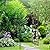 Evergreen Plow & Hearth Tree of Life Garden Arbor - 7 Feet Tall | Slim Metal Arch with Iron Trellis for Climbing Plants | Elegant Wedding Arbor | Outdoor Patio & Garden Decor