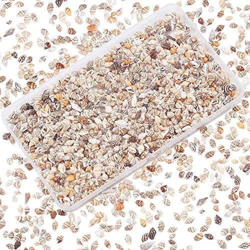 1300-1500 Pcs Petits Coquillages Spirale Naturels 7-12mm – Idéal DIY Bijoux, Déco Plage & Résine