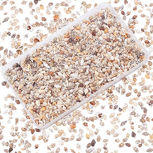 Ph Pandahall 1400-1500Pcs Sea Shell Beads 7-12Mm Tiny Crushed Shells Miniature Shells No Hole Seashells Ocean Spiral Seashells For Resin Candle Home Party Wedding Fish Tank Vase Filler #TOP17