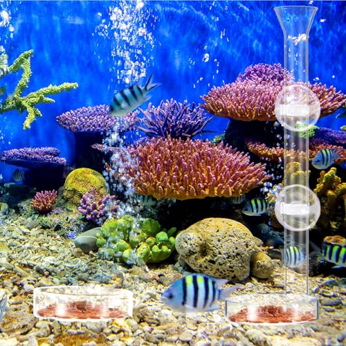 Image of CHENGU 3 Pieces Shrimp Feeding Tube and Dish Set, 10 Inch Glass Shrimp Feeder Tube and 2 Aquarium Dish Bowl Fish Tank Feeding Supplies for Fish Tank Aquarium