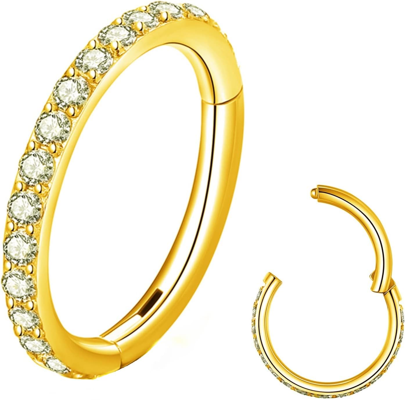 Clear CZ Nose Rings Hoop 316L Surgical Steel Cartilage Earrings Conch Daith Helix Rook Tragus Lobe Snug Body Piercing Jewelry 20G 18G 16G Stainless Steel Hinged Segment Rings Lip Rings