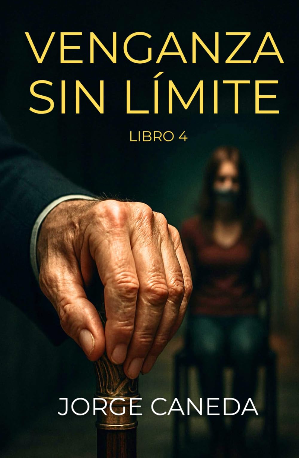 Venganza Sin Límite: Thriller psicológico de intriga de la serie SIN LÍMITE Nº4. Una novela de suspense de Victoria Hudson.