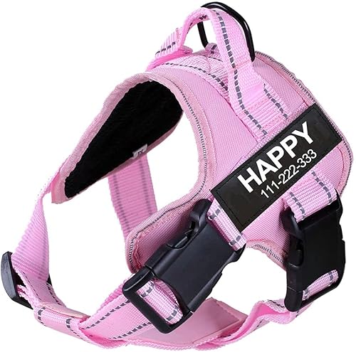 Arnés para perro con nombre personalizado con parche personalizado, chaleco para mascotas sin tirones, fácil control para entrenamiento de caminatas