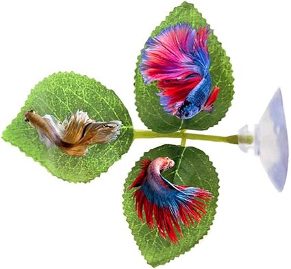 betta hammock amazon