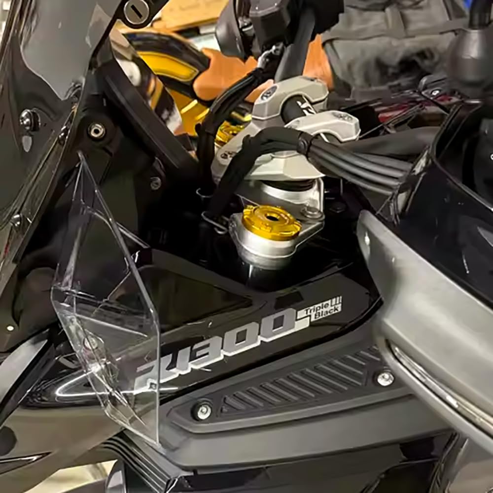 Lot de 2 pour R1300GS GS1300 R1300 GS R 1300GS Adventure ADV 2024 2025 2026 Accessoires moto Cache-amortisseurs décoratifs en aluminium Fourches avant R 1300 GS 1300gsa GSA (Or)