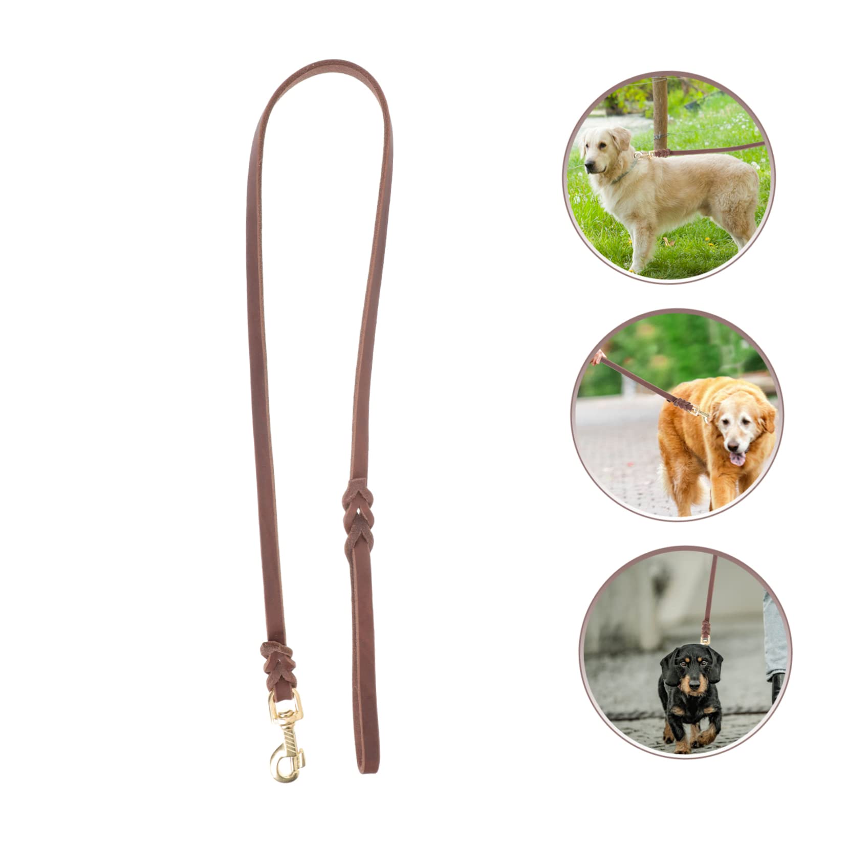 BESPORTBLE 3piezas Correa para Perros Resistentes Cuerda Antitirones para Mascotas De Longitud Gancho para Perros Medianos y Accesorio De Entrenamiento para Paseos Al Aire