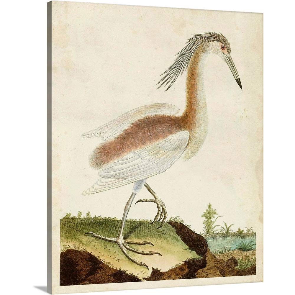 GREATBIGCANVAS Heron Portrait III Canvas Wall Art Print, Bird Home Decor Artwork