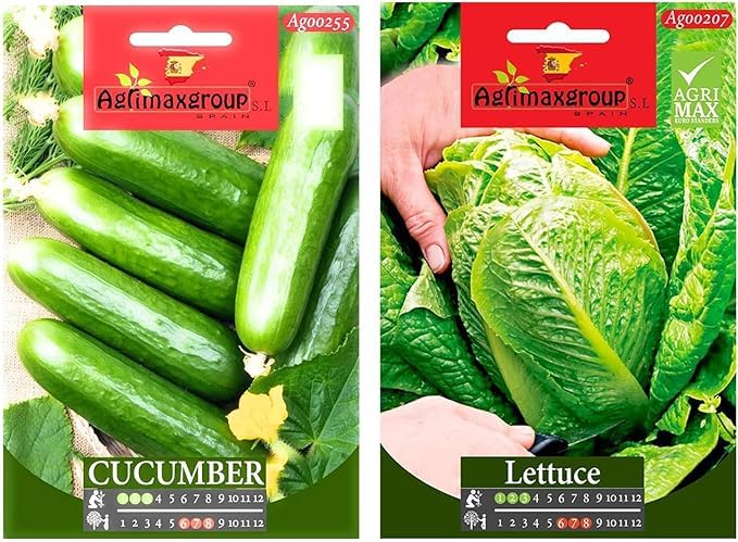 Cucumber seed + Lettuce seed Premium Quality Seeds by Agrimaxgroup | Made In Spain | By "UAE Garden Deals"