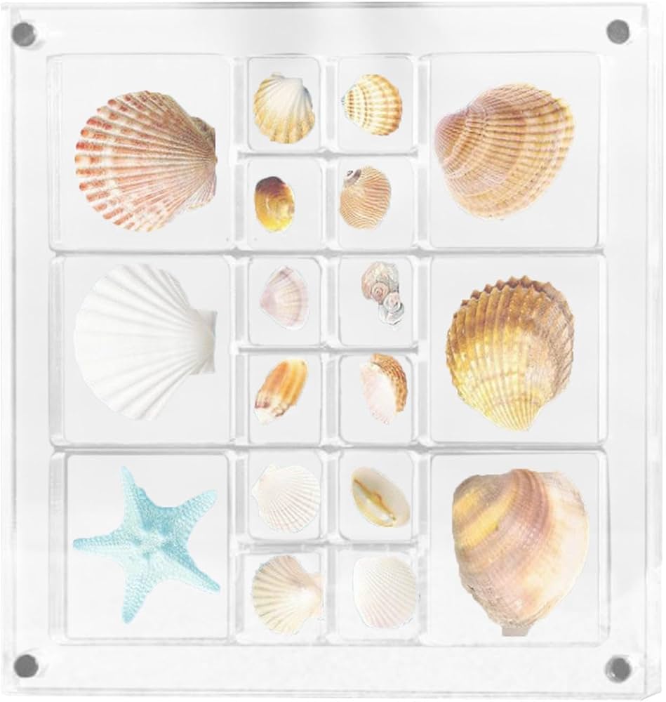Amazon|貝殻ディスプレイボックス - アクリル磁気貝殻ディスプレイ Amazon|貝殻ディスプレイボックス - アクリル磁気貝殻ディスプレイ