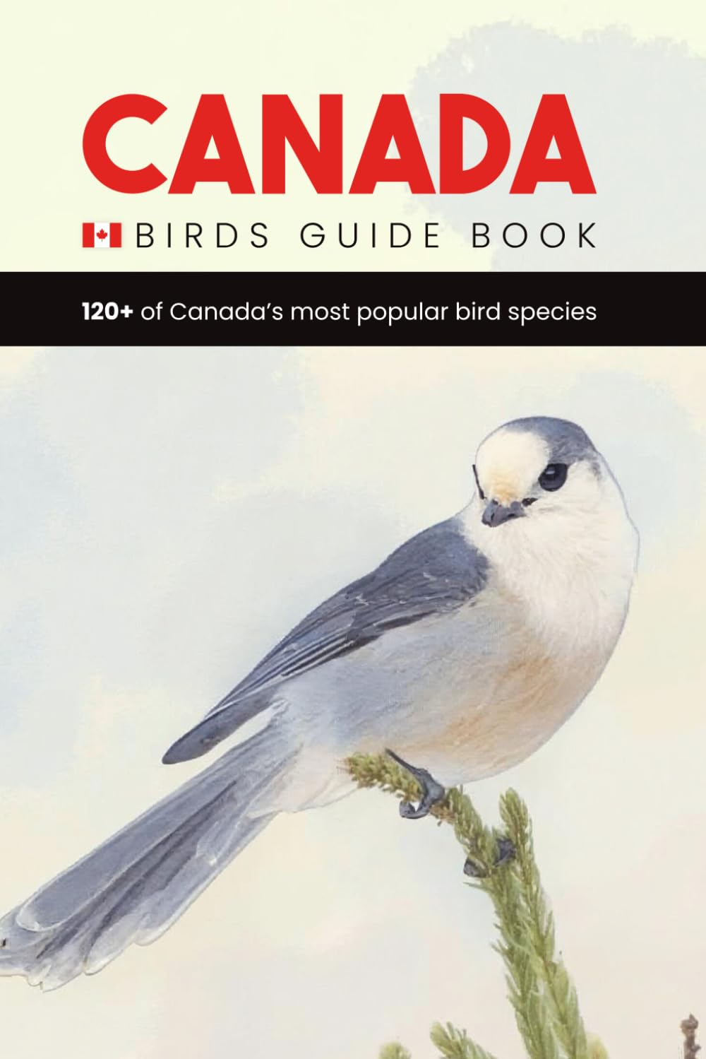 Canada Birds Guide Book. A Canada Bird Identification Field Guide and Pocket Book for Young Birdwatchers and Ornithologists