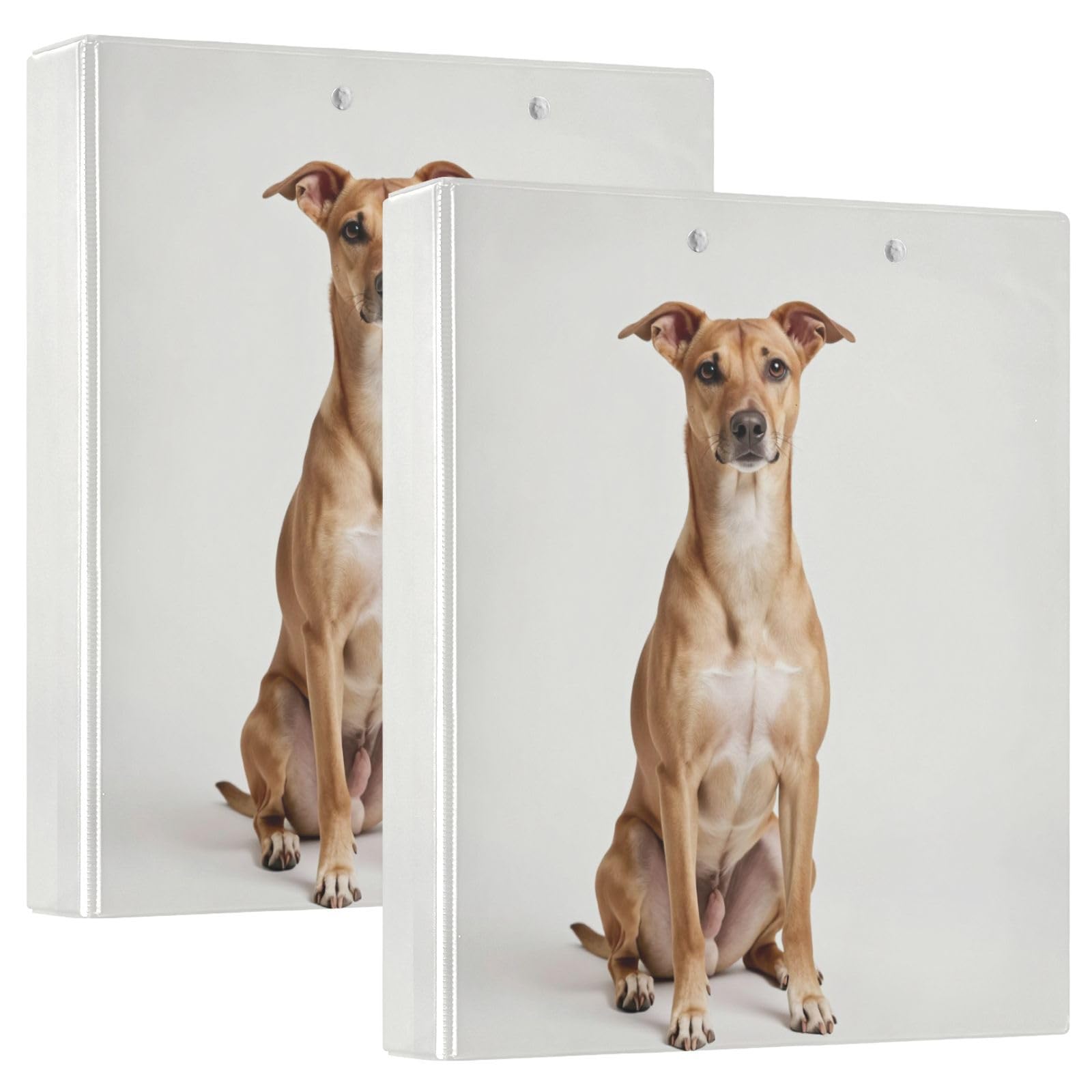 3 raccoglitori ad anelli per quaderni da 3,8 cm, con tasche interne, confezione da 1/2 raccoglitori universitari per studenti, 200 fogli, carini chihuahua a capelli corti sdraiati per compleanno