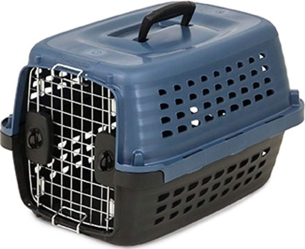 Petmate Compass Fashion Kennel Cat and Dog Kennel 4 Vibrant