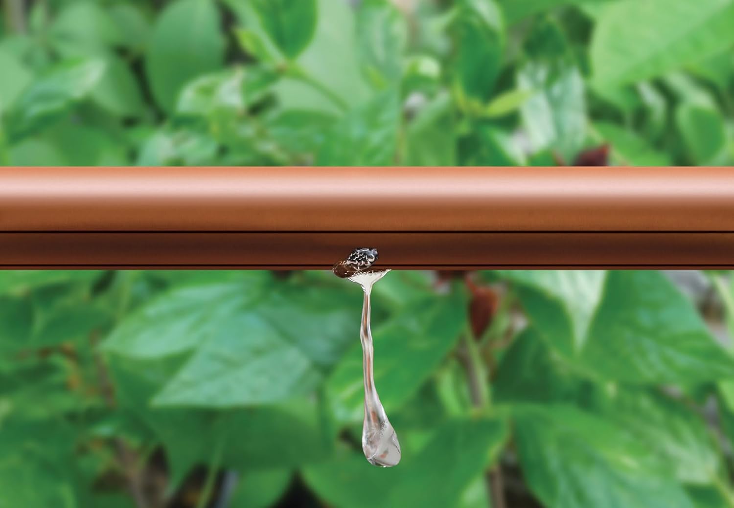 Rain Bird ET63-100S Drip Irrigation Pressure Compensating 1/2" (0.634" OD) Emitter Tubing, 18" Emitter Spacing, 100' Roll, Brown