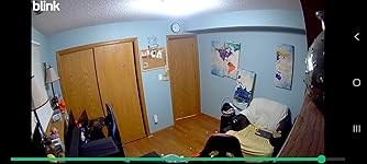 Review Image by dan dan